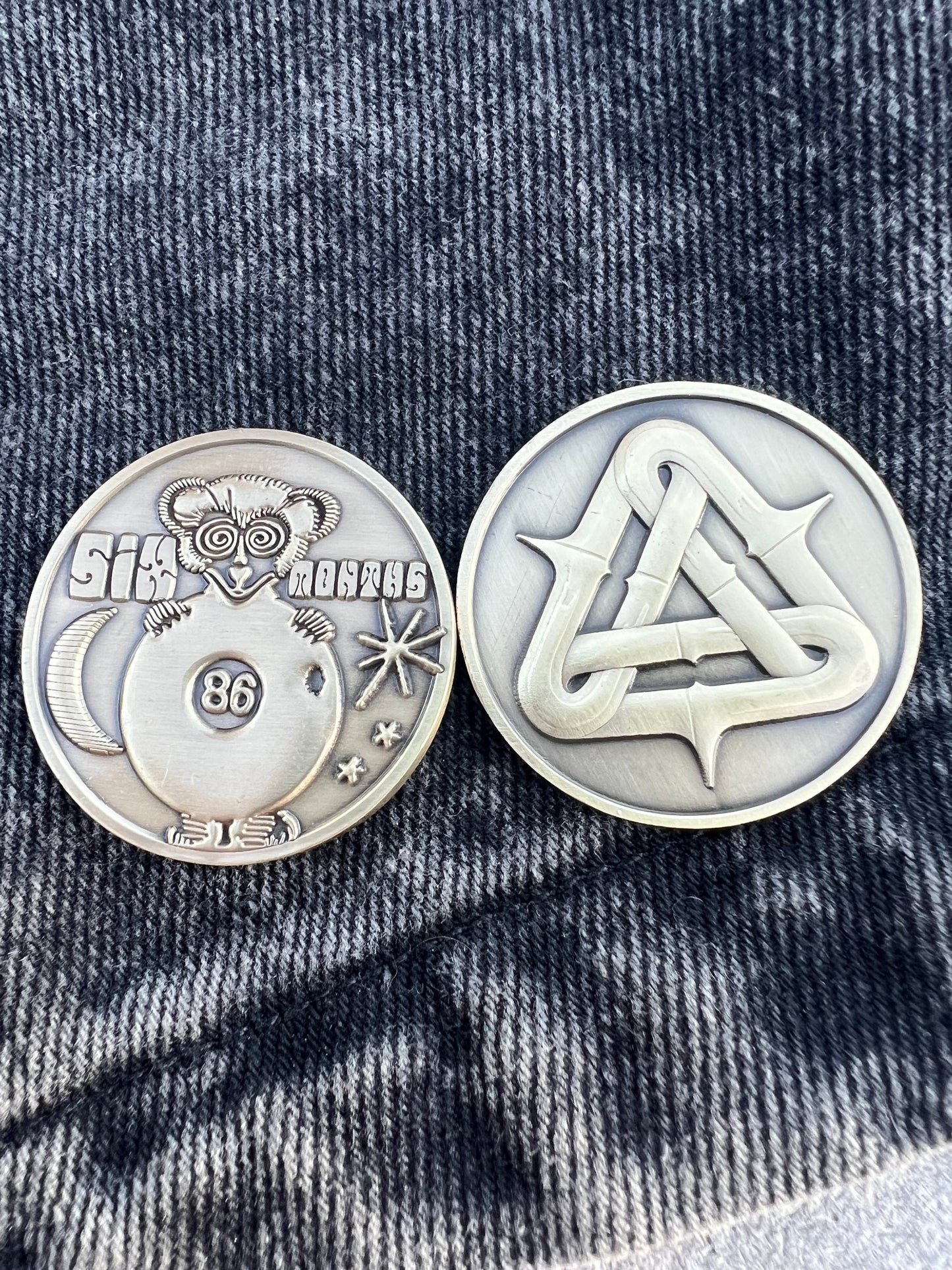 6 month chip