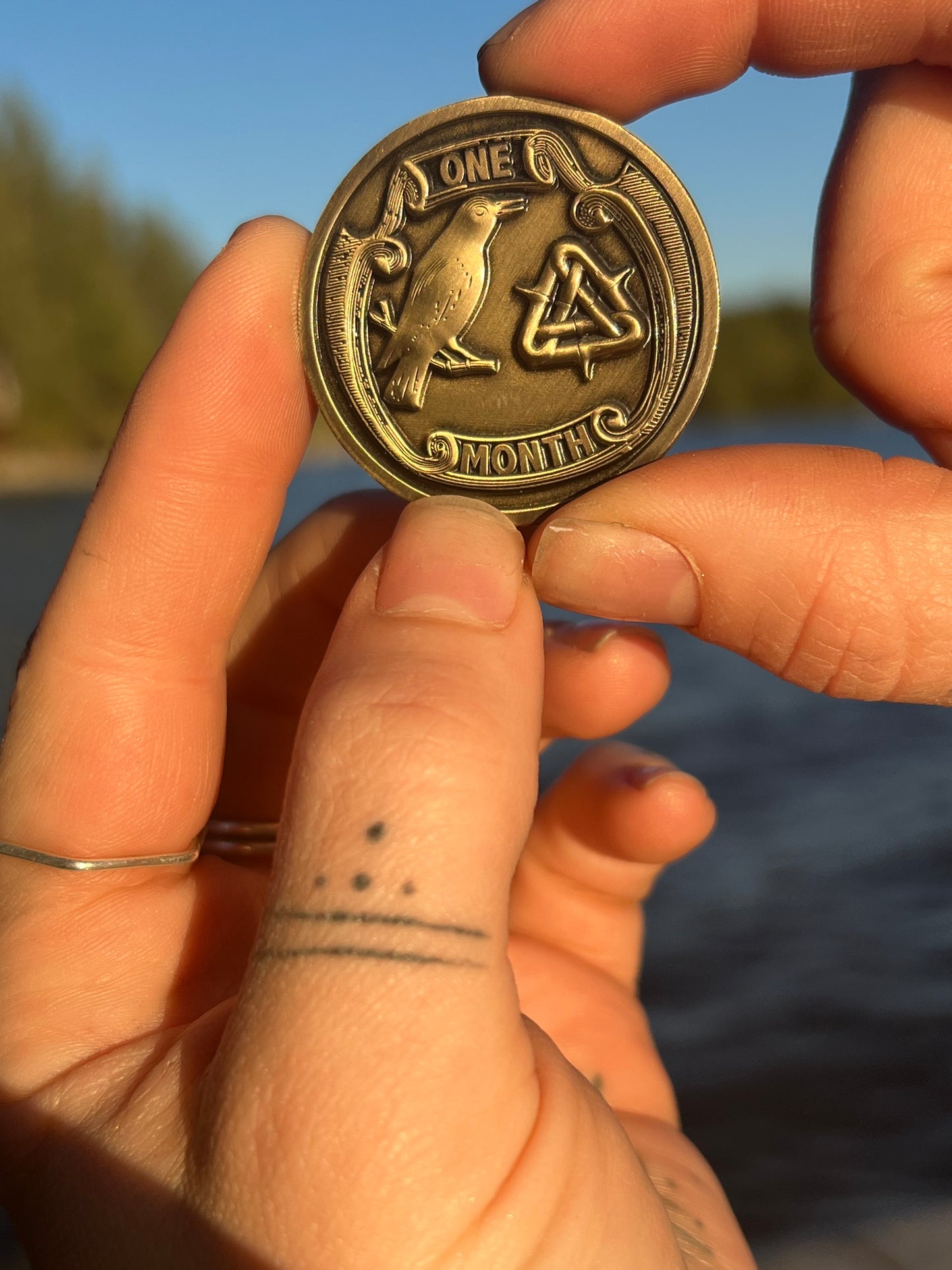 1 month heavy metal chip
